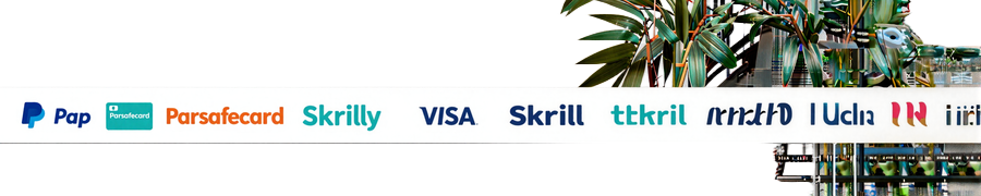 Logo-Reihe der Zahlungsmethoden PayPal, Paysafecard, Klarna, Skrill, Trustly, Visa und Mastercard im Betsson Casino